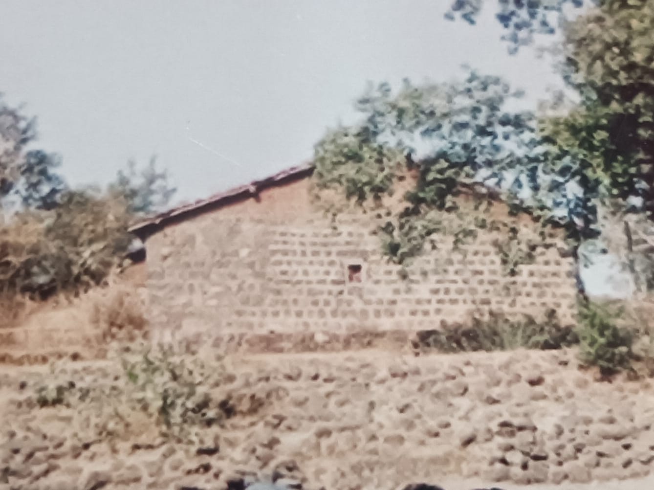 WhatsApp Image 2026-03-26 at 5.04.27 PM